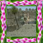 Gulburga fort - Karnataka